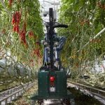 Cosecha robótica con visión computacional: La agricultura entra en una nueva era