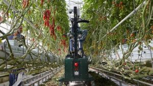 rg-100-robot-tomate-e1685460743924